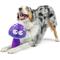 Show in main carousel: Huxley & Kent Dog Fetchies Mellow Mushroom Dog Toy, Purple/Blue, Small slide 4 of 8