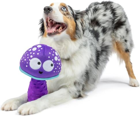 Show full view: Huxley & Kent Dog Fetchies Mellow Mushroom Dog Toy, Purple/Blue, Small slide 4 of 8