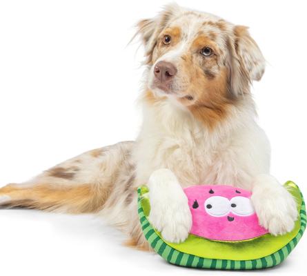Show full view: Huxley & Kent Dog Fetchies Walter Melon Dog Toy, Pink/Green, Large slide 5 of 9