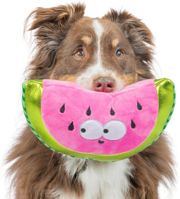 Show full view: Huxley & Kent Dog Fetchies Walter Melon Dog Toy, Pink/Green, Large slide 6 of 9