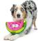 Show in main carousel: Huxley & Kent Dog Fetchies Walter Melon Dog Toy, Pink/Green, Small slide 4 of 9
