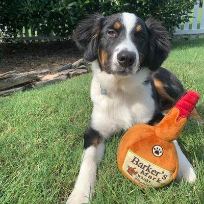 Show full view: Huxley & Kent Dog Power Plush Barker's Mark Dog Toy, Brown, Large slide 6 of 8