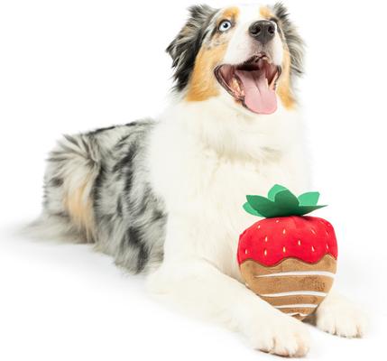 Show full view: Huxley & Kent Dog Power Plush Chocolate Strawberry Dog Toy, Red, Small slide 4 of 9