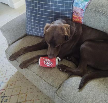 Show full view: Huxley & Kent Dog Power Plush Dr Pooper Dog Toy, Red, Small slide 6 of 9