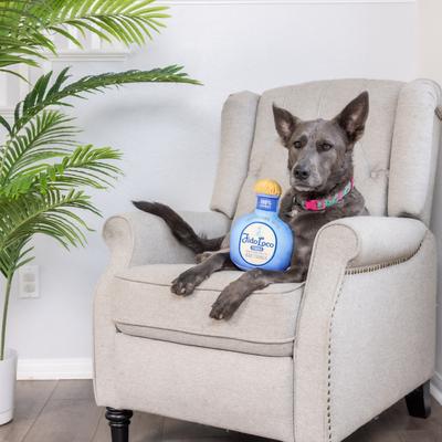 Show full view: Huxley & Kent Dog Power Plush Fido Loco Tequila Dog Toy, Blue, Large slide 7 of 10