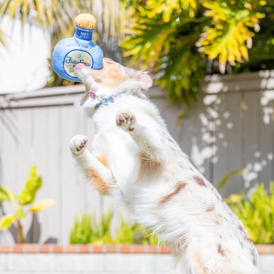 Show full view: Huxley & Kent Dog Power Plush Fido Loco Tequila Dog Toy, Blue, Large slide 6 of 10