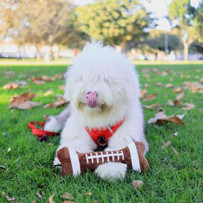 Show full view: Huxley & Kent Dog Power Plush Football Bone Dog Toy, Brown, Large slide 6 of 8