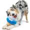Show in main carousel: Huxley & Kent Dog Power Plush Fro-Yo Pawtriot Cone Dog Toy, Red/White/Blue/Tan, Small slide 4 of 8