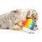 Show in main carousel: Huxley & Kent Dog Power Plush Fro-Yo Pride Cone Dog Toy, Rainbow, Small slide 5 of 8