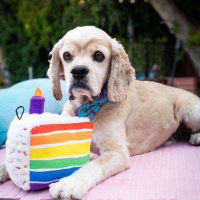 Show full view: Huxley & Kent Dog Power Plush Funfetti Cake Dog Toy, Multicolor, Small slide 4 of 10