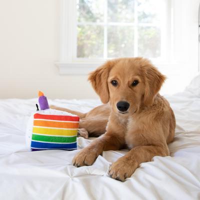 Show full view: Huxley & Kent Dog Power Plush Funfetti Cake Dog Toy, Multicolor, Small slide 5 of 10