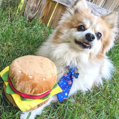 Show full view: Huxley & Kent Dog Power Plush Hamburger Dog Toy, Brown, Small slide 6 of 7