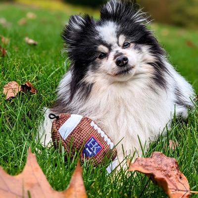 Show full view: Huxley & Kent Dog Power Plush HK Football Dog Toy, Brown/White, Small slide 7 of 8