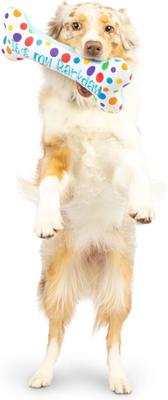 Show full view: Huxley & Kent Dog Power Plush It's My Barkday Bone Dog Toy, Blue/Multicolor, Large slide 7 of 11