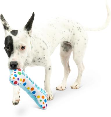 Show full view: Huxley & Kent Dog Power Plush It's My Barkday Bone Dog Toy, Blue/Multicolor, Small slide 9 of 10