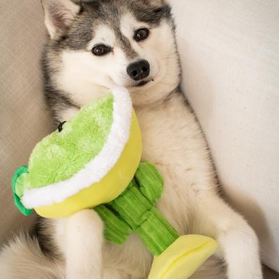 Show full view: Huxley & Kent Dog Power Plush Margarita Loco Dog Toy, Green, Large slide 4 of 7