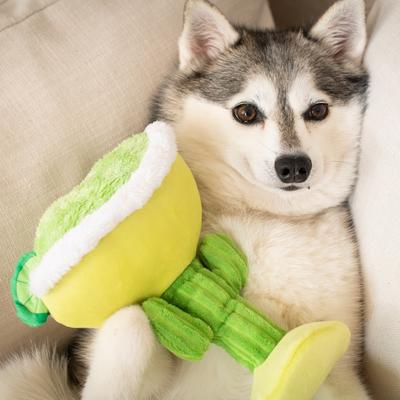 Show full view: Huxley & Kent Dog Power Plush Margarita Loco Dog Toy, Green, Small slide 5 of 7