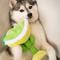 Show in main carousel: Huxley & Kent Dog Power Plush Margarita Loco Dog Toy, Green, Small slide 4 of 7