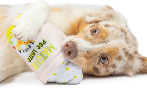 Show full view: Huxley & Kent Dog Power Plush Matcha Pee Latte Dog Toy, Green/Pink, Large slide 5 of 8