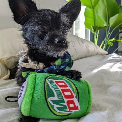 Show full view: Huxley & Kent Dog Power Plush Mountain Poo Dog Toy, Green, Large slide 5 of 8