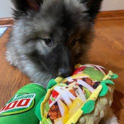 Huxley & Kent Dog Power Plush Mountain Poo Dog Toy, Green, Small slide 2 of 7