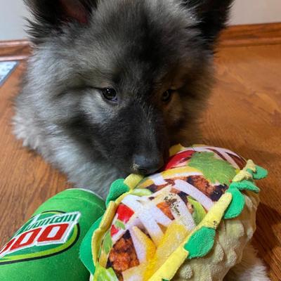 Show full view: Huxley & Kent Dog Power Plush Mountain Poo Dog Toy, Green, Small slide 7 of 8