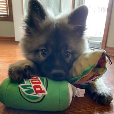 Show full view: Huxley & Kent Dog Power Plush Mountain Poo Dog Toy, Green, Small slide 6 of 8