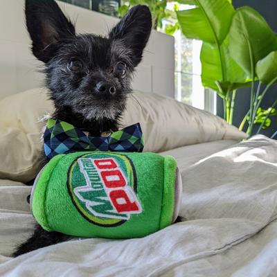 Show full view: Huxley & Kent Dog Power Plush Mountain Poo Dog Toy, Green, Small slide 4 of 8