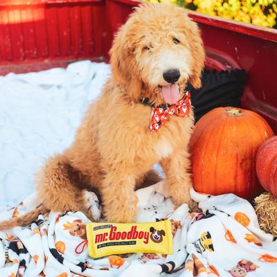 Show full view: Huxley & Kent Dog Power Plush Mr. Goodboy Dog Toy, Yellow, Large slide 6 of 8