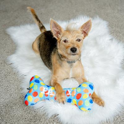 Show full view: Huxley & Kent Dog Power Plush Party Time Bone Blue Dog Toy, Blue, Small slide 4 of 11