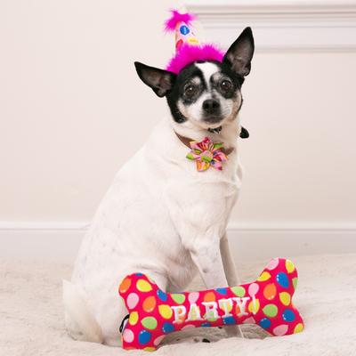 Show full view: Huxley & Kent Dog Power Plush Party Time Bone Pink Dog Toy, Pink, Small slide 6 of 10