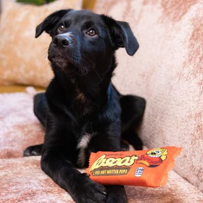 Show full view: Huxley & Kent Dog Power Plush Roscos Dog Toy, Orange, Small slide 4 of 5