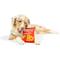 Show in main carousel: Huxley & Kent Dog Power Plush Sneeze-It Dog Toy, Red/Orange, Small slide 6 of 7