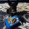 Show in main carousel: Huxley & Kent Dog Power Plush Snoreo Cookies Dog Toy, Blue, Small slide 8 of 11