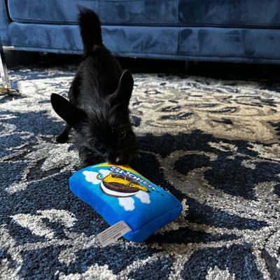 Show full view: Huxley & Kent Dog Power Plush Snoreo Cookies Dog Toy, Blue, Small slide 7 of 11