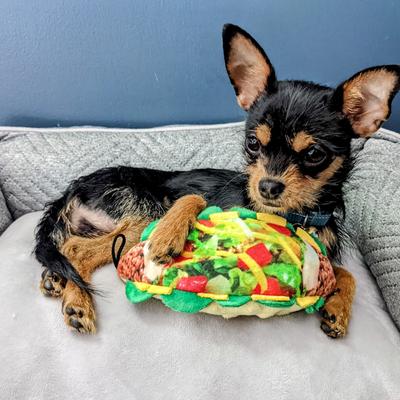 Show full view: Huxley & Kent Dog Power Plush Taco Tuesday Dog Toy, Brown, Large slide 7 of 10