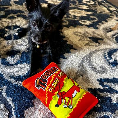 Show full view: Huxley & Kent Dog Power Plush Treatos Snacks Dog Toy, Orange, Small slide 7 of 10