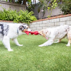 Huxley & Kent Dog Slappies Claude Lobster Dog Toy, Red, Large slide 2 of 8