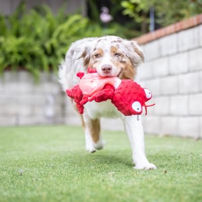 Show full view: Huxley & Kent Dog Slappies Claude Lobster Dog Toy, Red, Large slide 6 of 10