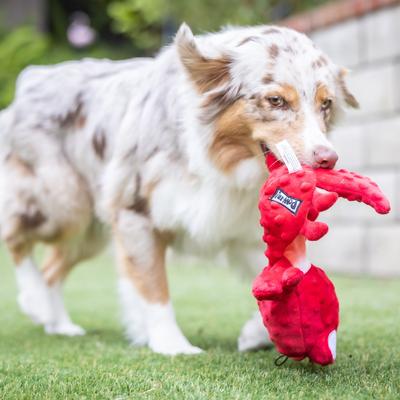 Show full view: Huxley & Kent Dog Slappies Claude Lobster Dog Toy, Red, Large slide 4 of 10