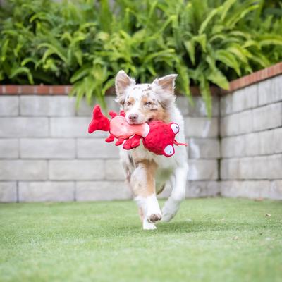Show full view: Huxley & Kent Dog Slappies Claude Lobster Dog Toy, Red, Large slide 5 of 10