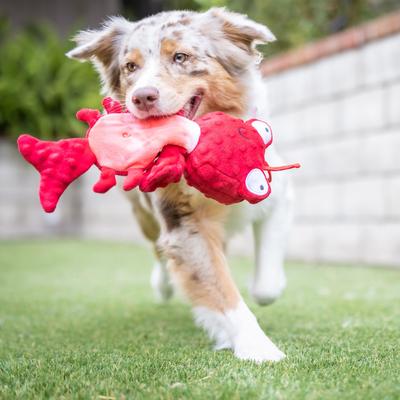Show full view: Huxley & Kent Dog Slappies Claude Lobster Dog Toy, Red, Small slide 7 of 10