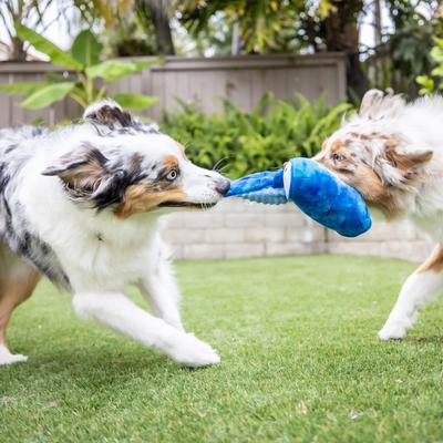Show full view: Huxley & Kent Dog Slappies Jack Hammerhead Dog Toy, Blue, Large slide 8 of 10