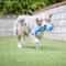 Show in main carousel: Huxley & Kent Dog Slappies Jack Hammerhead Dog Toy, Blue, Large slide 4 of 10