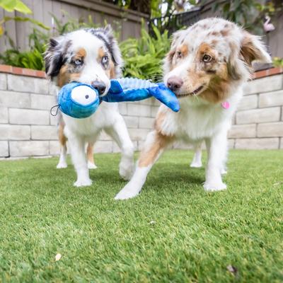 Show full view: Huxley & Kent Dog Slappies Jack Hammerhead Dog Toy, Blue, Small slide 7 of 10