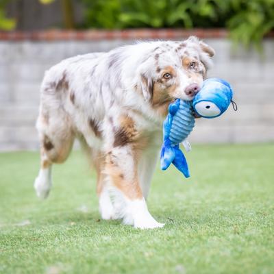 Show full view: Huxley & Kent Dog Slappies Jack Hammerhead Dog Toy, Blue, Small slide 5 of 10