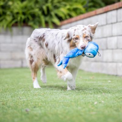 Show full view: Huxley & Kent Dog Slappies Jack Hammerhead Dog Toy, Blue, Small slide 4 of 10