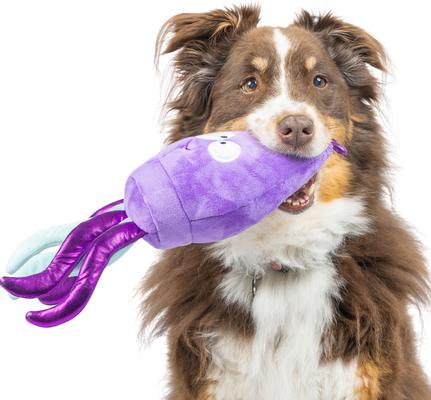 Show full view: Huxley & Kent Dog Slappies Squiggly Squid Dog Toy, Purple, Small slide 6 of 8