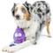 Show in main carousel: Huxley & Kent Dog Slappies Squiggly Squid Dog Toy, Purple, Small slide 4 of 8