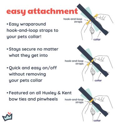 Show full view: Huxley & Kent Happy Barkday Dog & Cat Bow Tie, White/Multicolor, Small slide 5 of 8